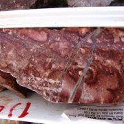 Penoles