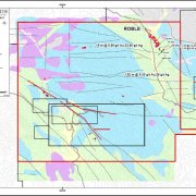 El Roble Vein System