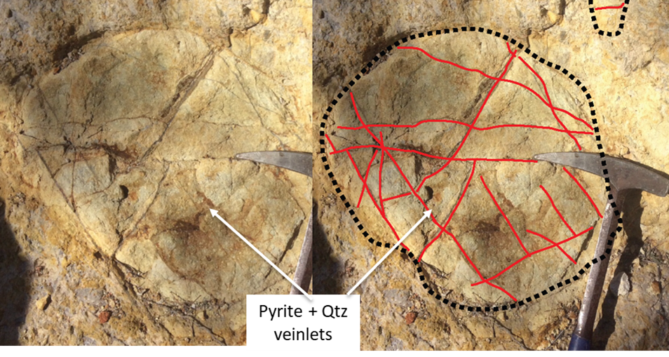 FeederVeins resized